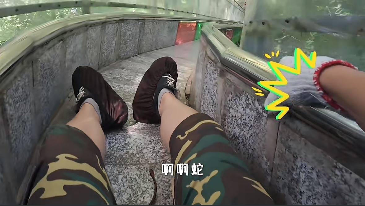 游客称在广西丹炉山滑道遇蛇<strong></p>
<p>攀钢钒钛股票</strong>，景区致歉：这么多年就这一次，每年都做防蛇处理