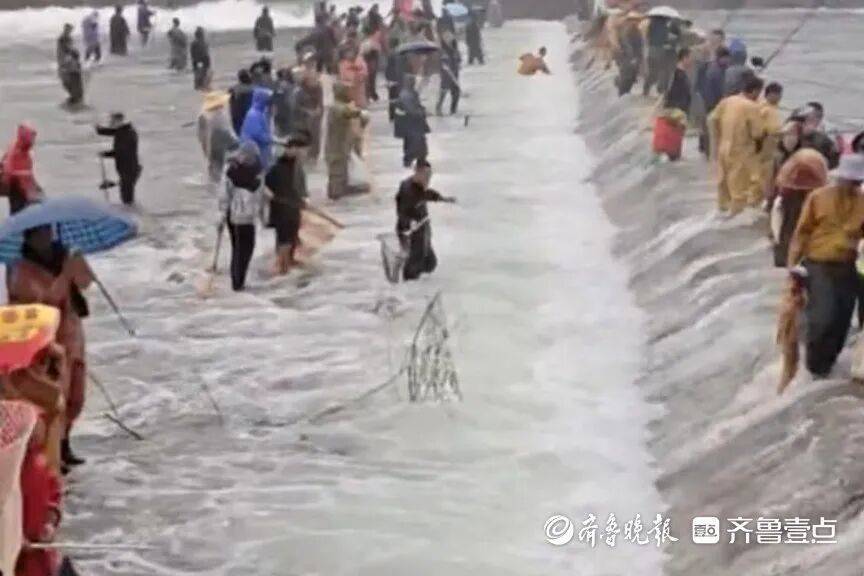 “鱼多得数不过来<strong></p>
<p>四方达股票</strong>，一网子下去能捞好几条”济南锦绣川水库开闸放水，大量鲢鱼被冲出，工作人员：禁止捕捞！