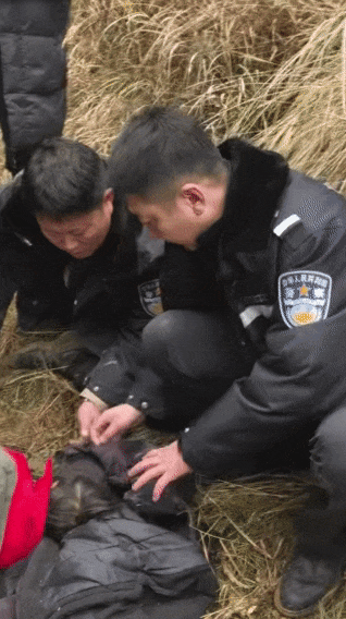 辽宁4岁女童称睡醒后自行下车<strong></p>
<p>永鼎股份股票</strong>，迷路后睡在草地，期间无人接触；其母发声