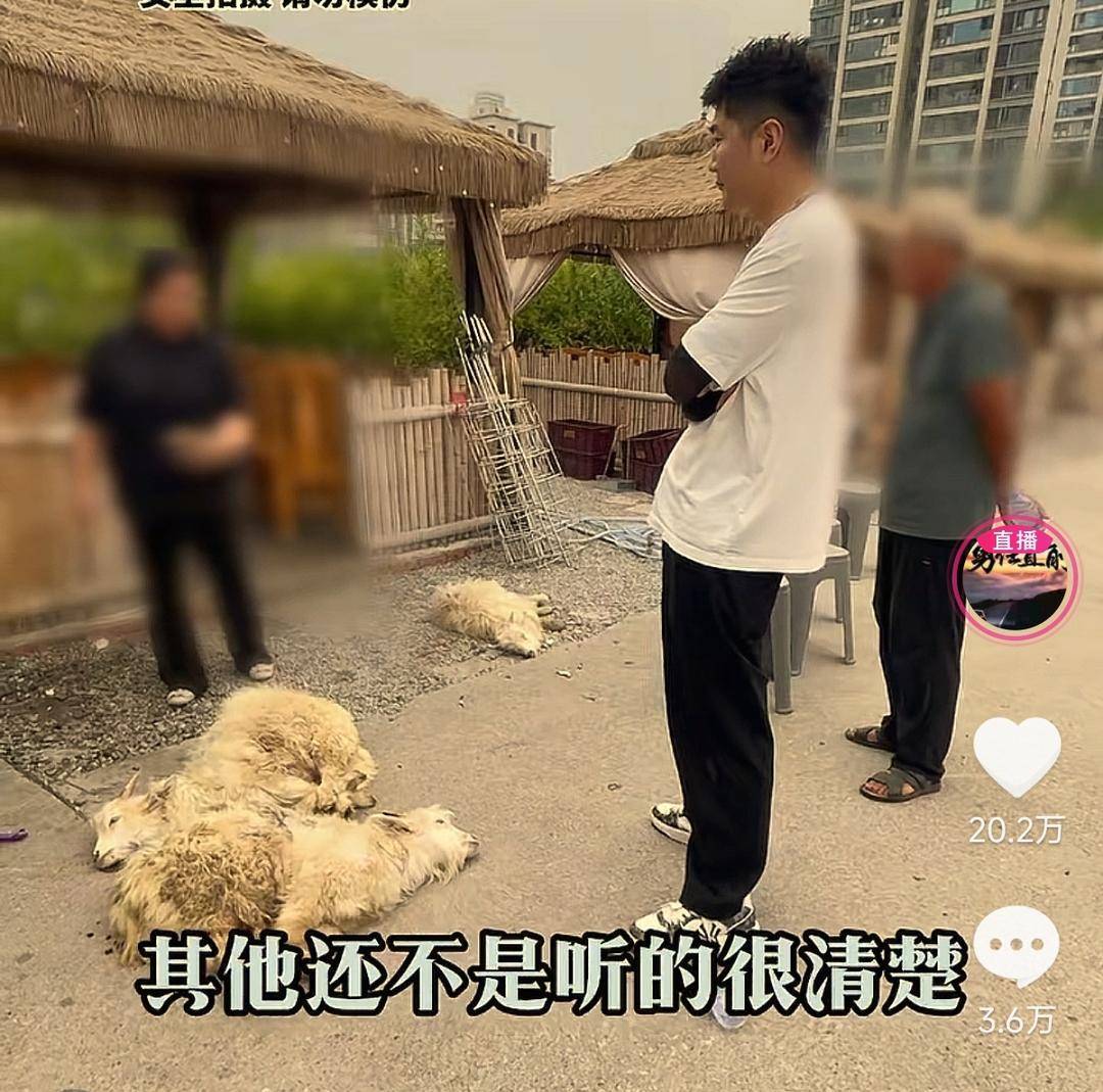 60斤活羊实际只有30多斤<strong></p>
<p>永鼎股份股票</strong>！博主打假重庆两家烤全羊店获“退一赔三”