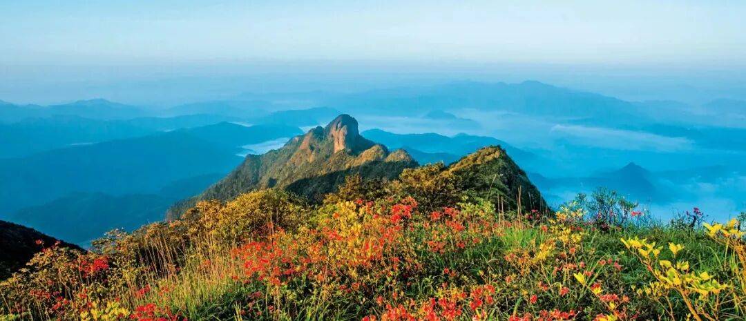 为什么年轻人迷上了爬山？ | 秋高气爽<strong></p>
<p>云南白药股票</strong>，是时候出发了→