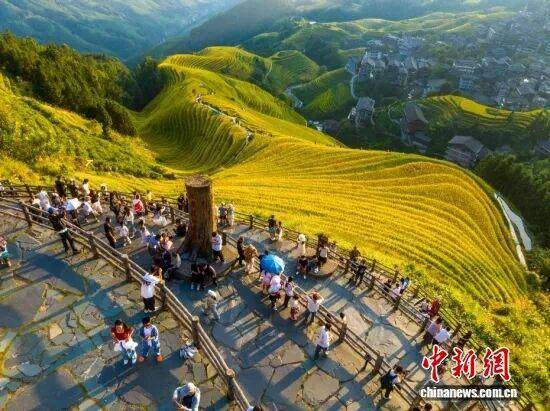 金秋<strong></p>
<p>陕西能源股票</strong>，广西的梯田一点不输！