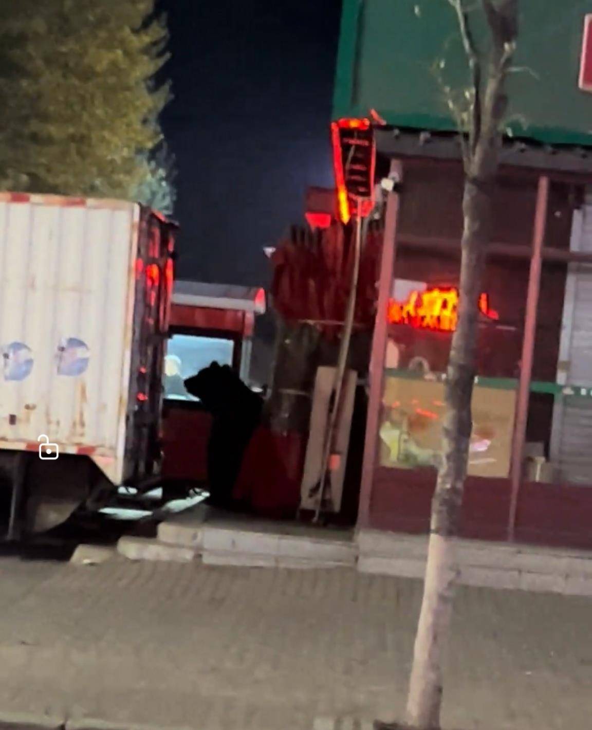 大黑熊夜里独闯黑龙江一县城闹市区<strong></p>
<p>三友化工股票</strong>，警方连开10多枪击毙，回应为何没用麻醉枪