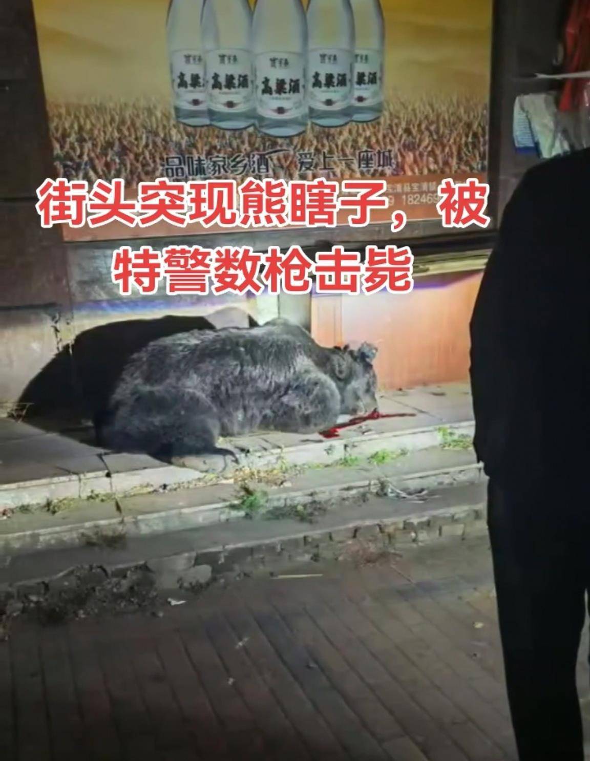 大黑熊夜里独闯黑龙江一县城闹市区<strong></p>
<p>三友化工股票</strong>，警方连开10多枪击毙，回应为何没用麻醉枪