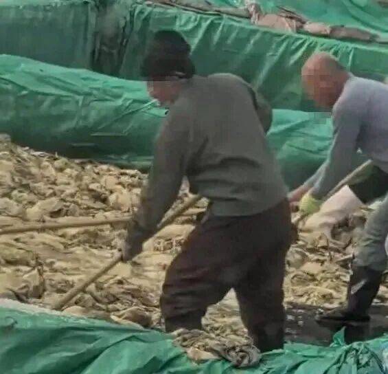 男子在酸菜池内抽烟吐痰<strong></p>
<p>英特尔股票</strong>，官方通报！