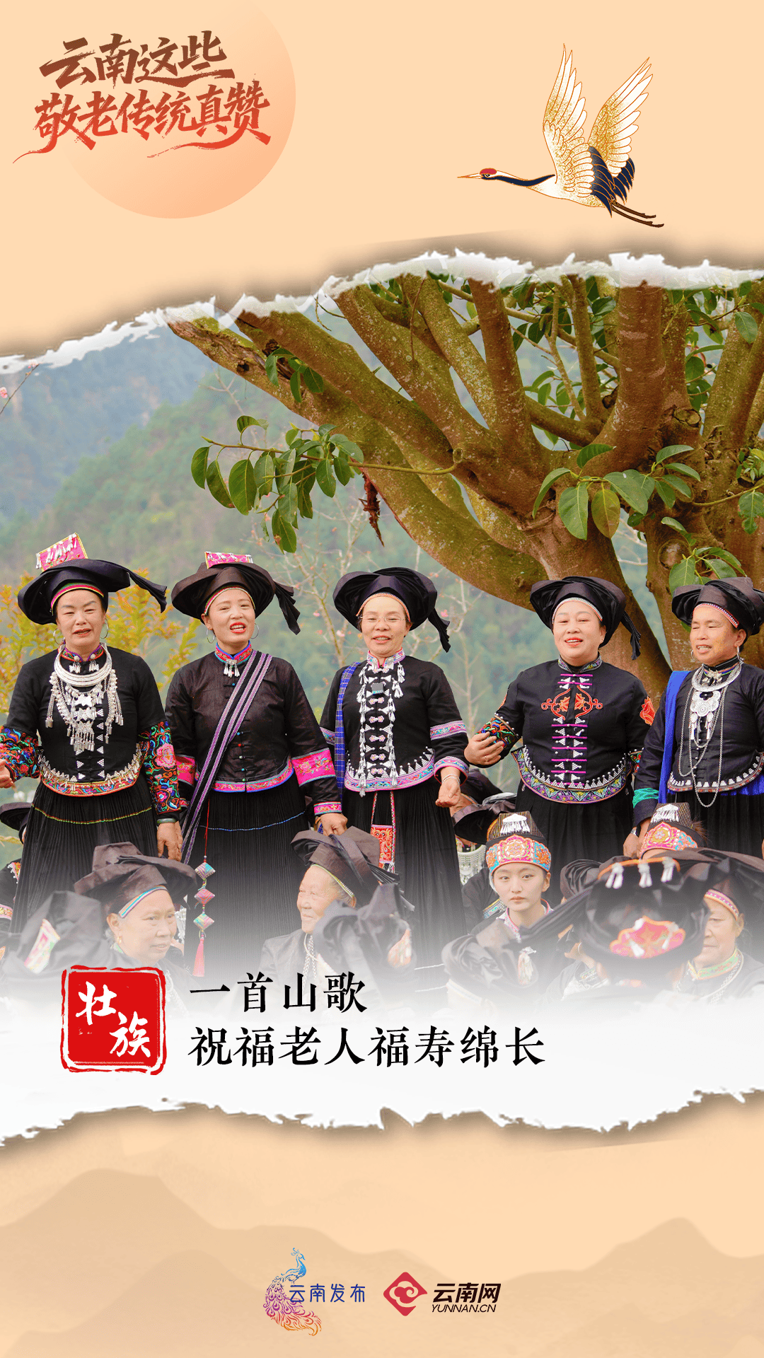 今天<strong></p>
<p>乐普医疗股票</strong>，回家看看~