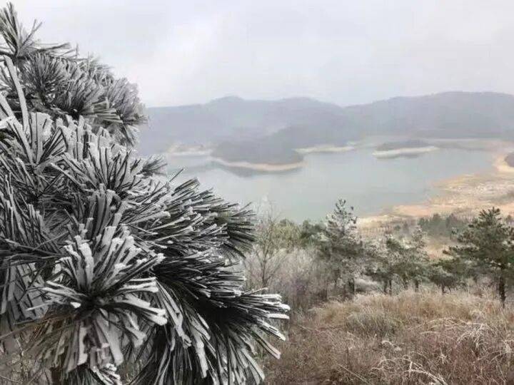 禁止任何形式穿越<strong></p>
<p>奇安信股票</strong>!杭州一地发布最严禁令