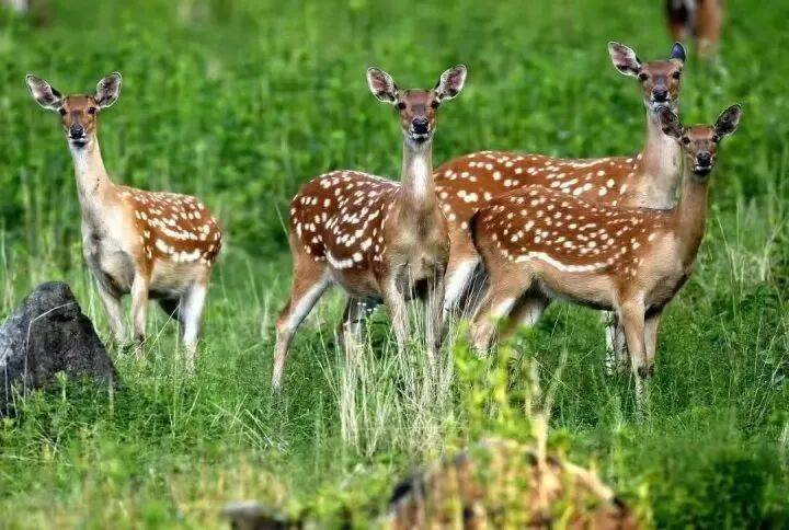 禁止任何形式穿越<strong></p>
<p>奇安信股票</strong>!杭州一地发布最严禁令