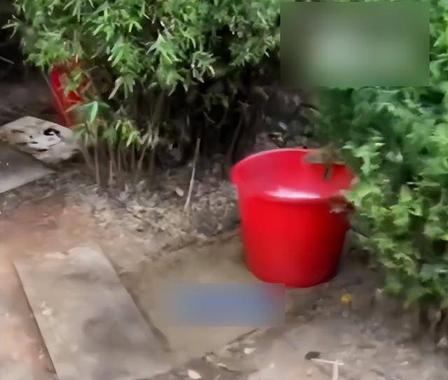 九江一公园摆3个尿桶供人露天小便<strong></p>
<p>神州泰岳股票</strong>,不到百米外就有公厕