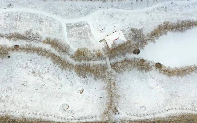 百年难遇“早立冬”来了<strong></p>
<p>神州泰岳股票</strong>!有啥讲究?早看早准备!