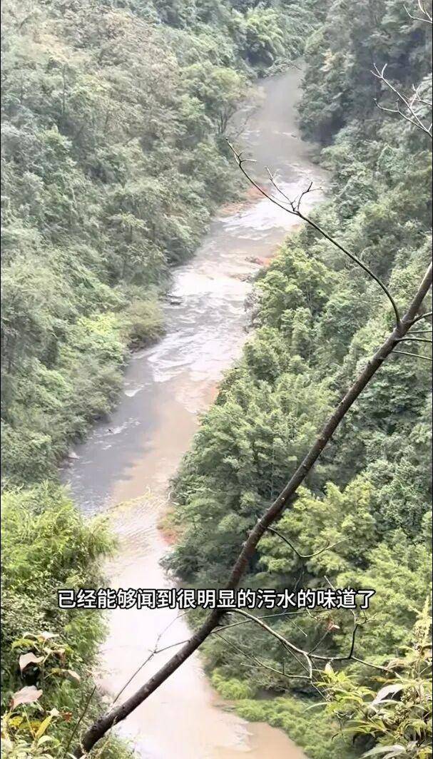 重庆通报：坚决查处<strong></p>
<p>股票软件</strong>，绝不姑息