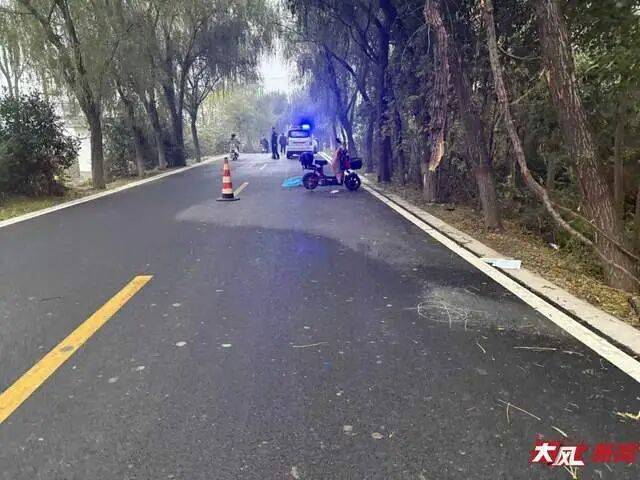 陕西兴平56岁女教师骑电动车“撞树枝”身亡<strong></p>
<p>鄂尔多斯股票</strong>，交警判定担主责，家属提出诸多质疑，多方回应