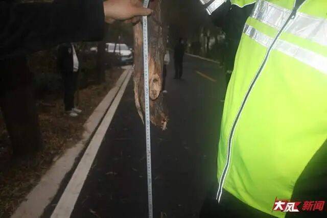 陕西兴平56岁女教师骑电动车“撞树枝”身亡<strong></p>
<p>鄂尔多斯股票</strong>，交警判定担主责，家属提出诸多质疑，多方回应