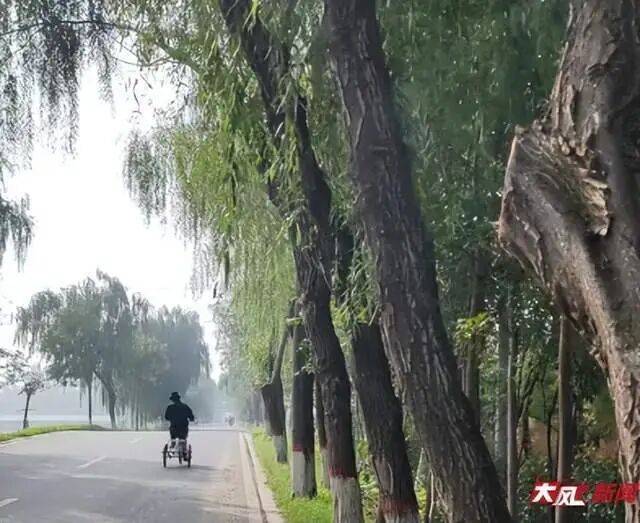 陕西兴平56岁女教师骑电动车“撞树枝”身亡<strong></p>
<p>鄂尔多斯股票</strong>，交警判定担主责，家属提出诸多质疑，多方回应