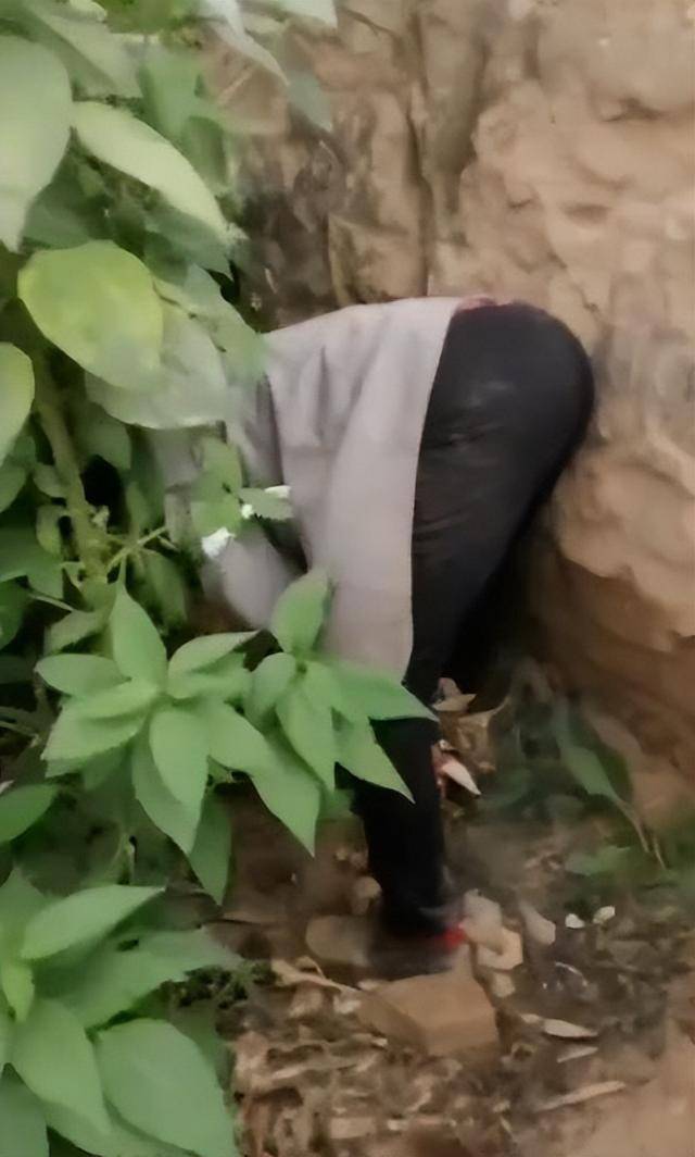 陕西一女子疑因拍亲姑姑偷玉米遭姑父棍杀<strong></p>
<p>中海达股票</strong>,邻居欲报警也遇害