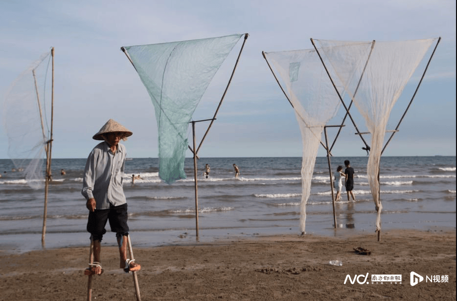 外交部赵立坚点赞湛江:渔网起落间<strong></p>
<p>中海达股票</strong>,满舱鲜活载着晨光归来