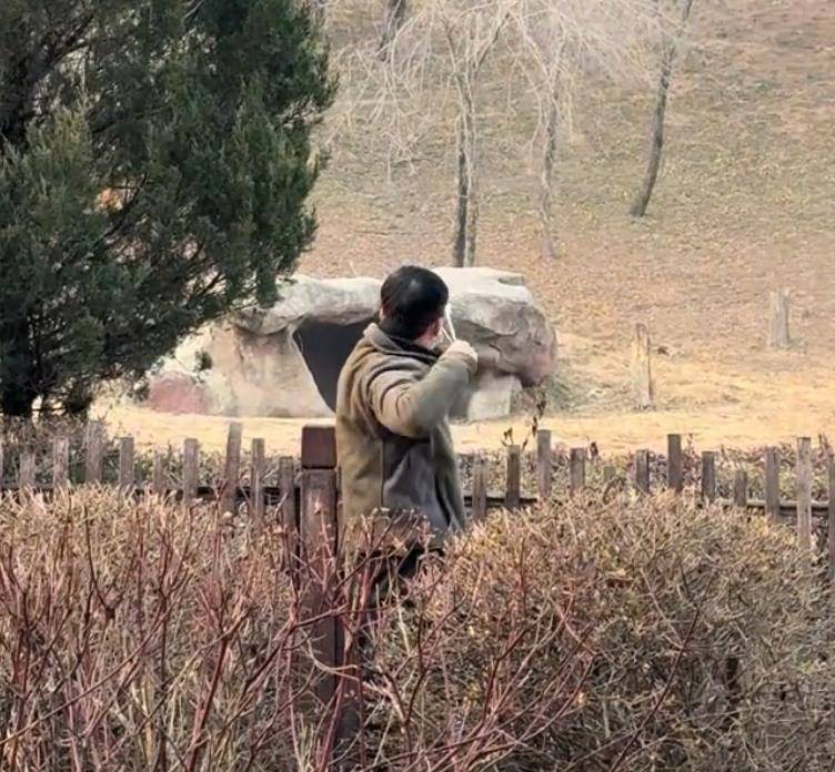 沈阳一男子动物园内用弹弓射老虎<strong></p>
<p>山推股份股票</strong>，目击者称其“填装了弹丸”，打完后老虎爬起来了，园方：正在核实情况