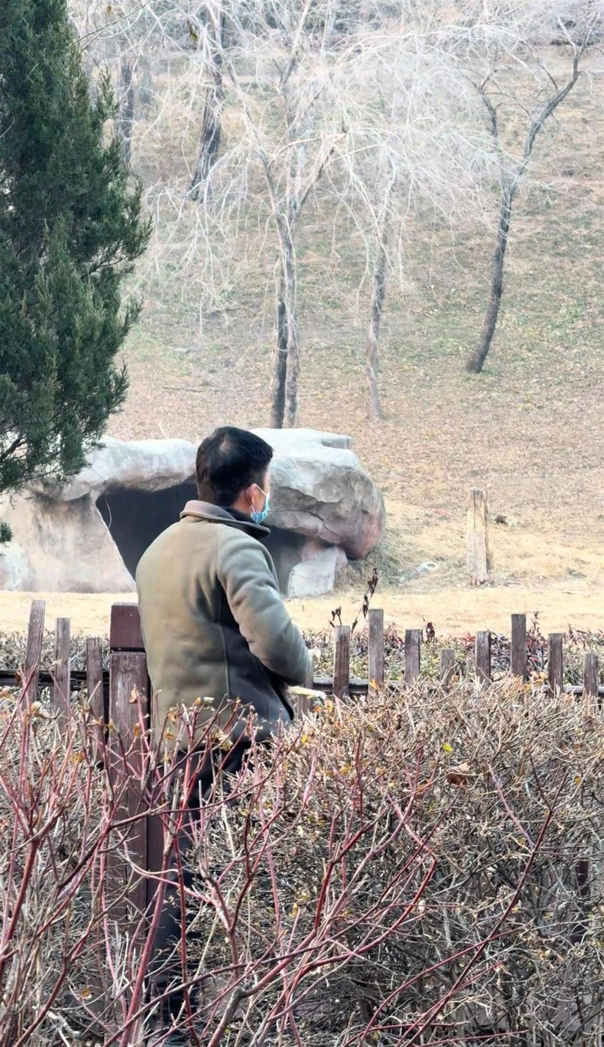 沈阳一男子动物园内用弹弓射老虎<strong></p>
<p>山推股份股票</strong>，目击者称其“填装了弹丸”，打完后老虎爬起来了，园方：正在核实情况