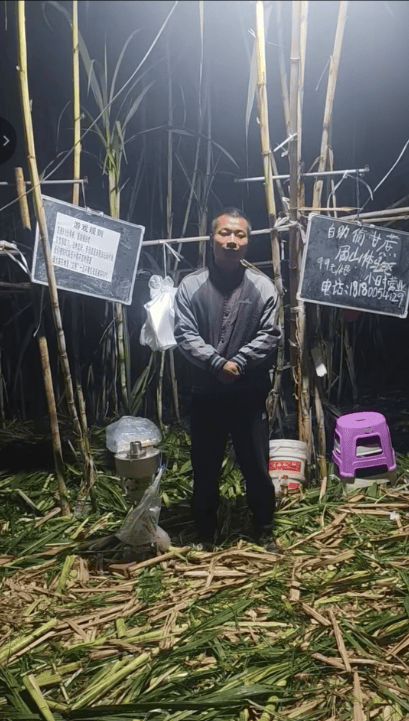 四川眉山自助“偷甘蔗”老板称有人只“偷”不给钱<strong></p>
<p>山推股份股票</strong>,当地文旅:已安排人员现场协调