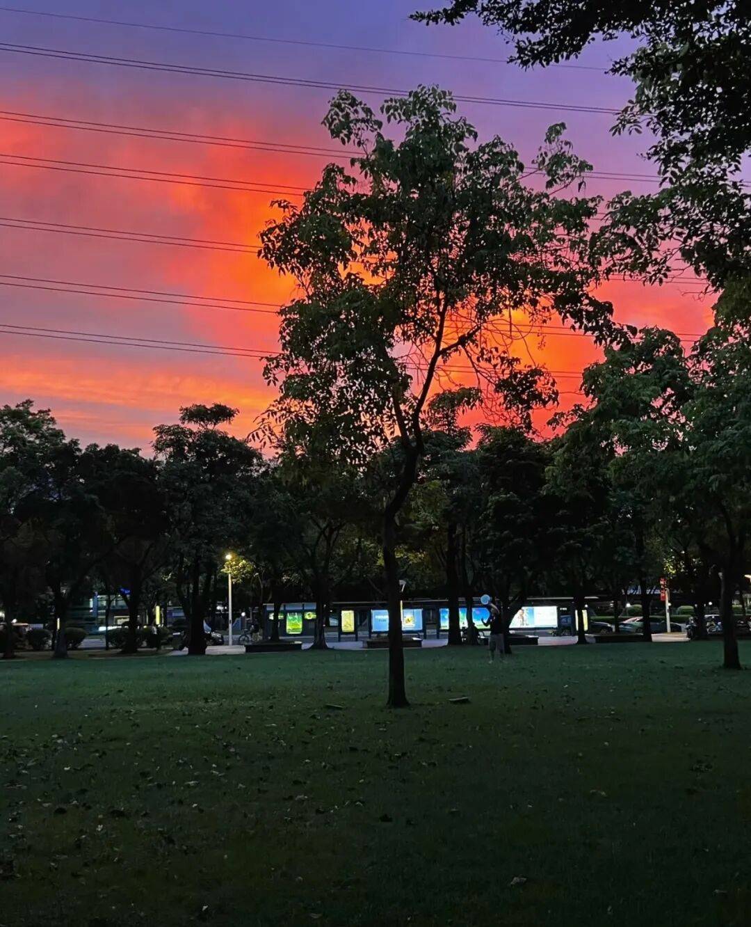 第一批丁克老后<strong></p>
<p>山推股份股票</strong>，“伴侣能陪一程，但最后都要靠自己”