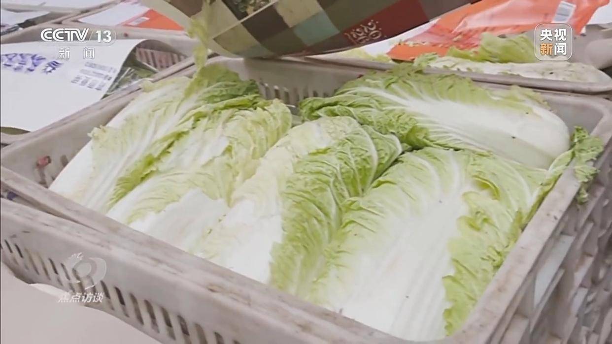 单棵售价超百元<strong></p>
<p>汇金科技股票</strong>，起底“套牌白菜”背后的销售套路