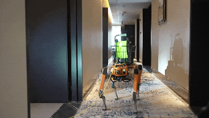 直击339米温州第一高楼“灭火救援现场”<strong></p>
<p>新北洋股票</strong>，多部门紧急联动“以练促战”！