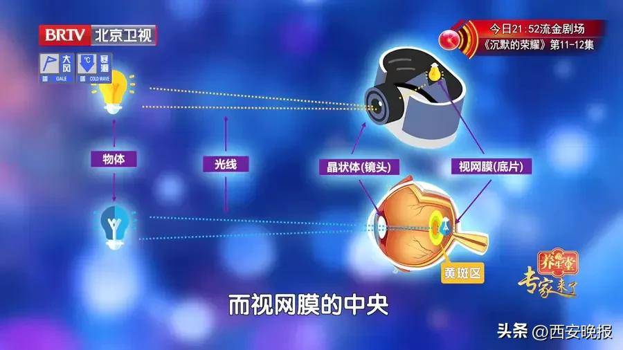 著名女演员放弃演戏！疾病恶化<strong></p>
<p>华新水泥股票</strong>，已认不出任何人