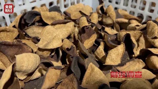 30天速成陈皮<strong></p>
<p>天音控股股票</strong>,成本仅70元,利润超成本10倍以上!央视起底陈皮跨省造假产业链