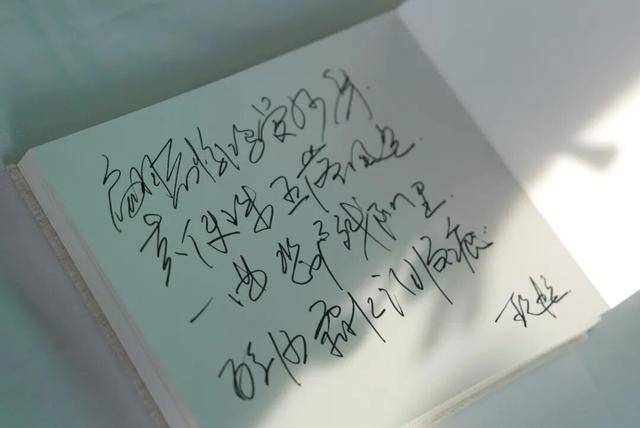 何晴之子追思:妈妈很喜欢雪<strong></p>
<p>天音控股股票</strong>,北京这场雪好像是为她而下