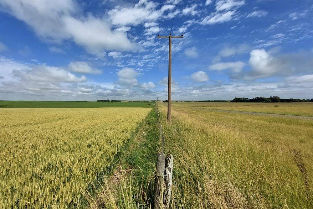 自上世纪90年代以来<strong></p>
<p>天音控股股票</strong>，中国首次购买阿根廷小麦