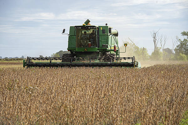 自上世纪90年代以来<strong></p>
<p>天音控股股票</strong>，中国首次购买阿根廷小麦