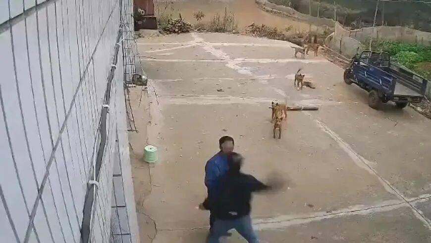 男子家门口吃橘子被邻居一拳打昏<strong></p>
<p>两面针股票</strong>,警方通报:因养狗问题起冲突,均有受伤