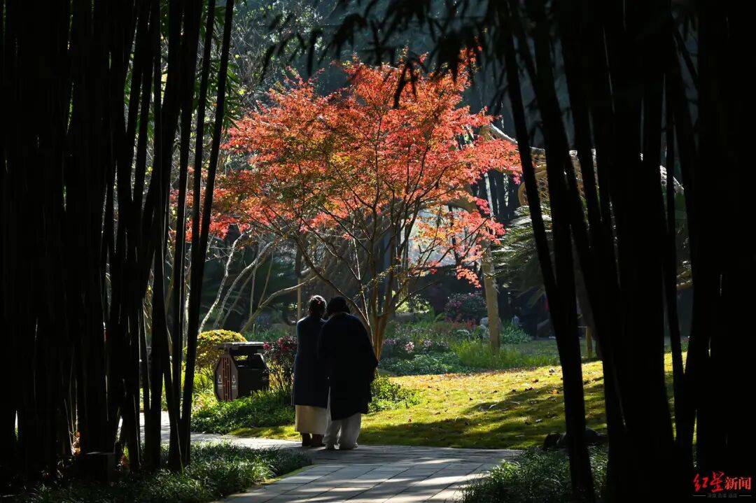 我国已进入拉尼娜状态<strong></p>
<p>科大智能股票</strong>！四川今冬或“前暖后冷”