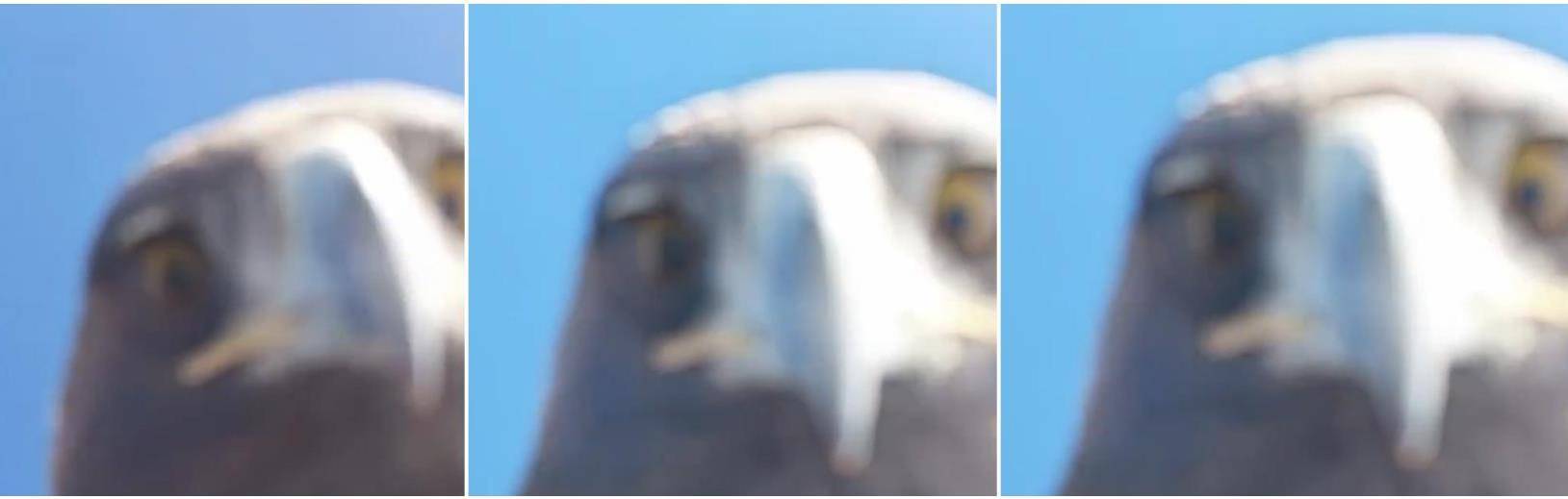 土耳其老鹰空中抓走无人机<strong></p>
<p>和而泰股票</strong>，带上山顶“玩自拍”