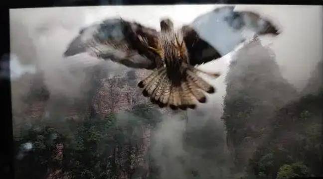 土耳其老鹰空中抓走无人机<strong></p>
<p>和而泰股票</strong>，带上山顶“玩自拍”