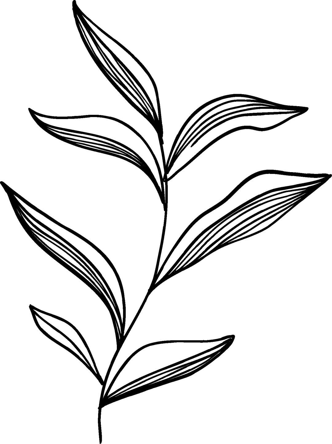 树山分馆限定 | 在竹林里<strong></p>
<p>红太阳股票</strong>，细品22支咖啡豆的“风味之书”