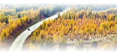 坚持“双碳”引领<strong></p>
<p>红太阳股票</strong>，推动全面绿色转型（稳中求进、提质增效 实现“十五五”良好开局）