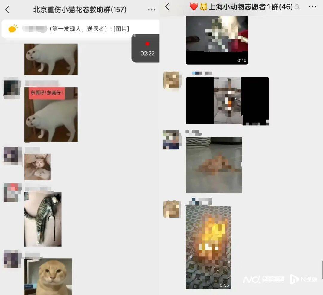 被指惨不忍睹！微信群涌入大量不明人士<strong></p>
<p>易华录股票</strong>，突然“炸群”！广东一地警方介入